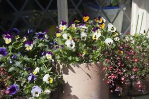 haworth may 25 2016 5.jpg